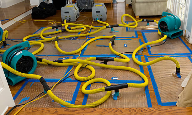 Professional Crawl Space Water Removal technician working in Portsmouth, NH